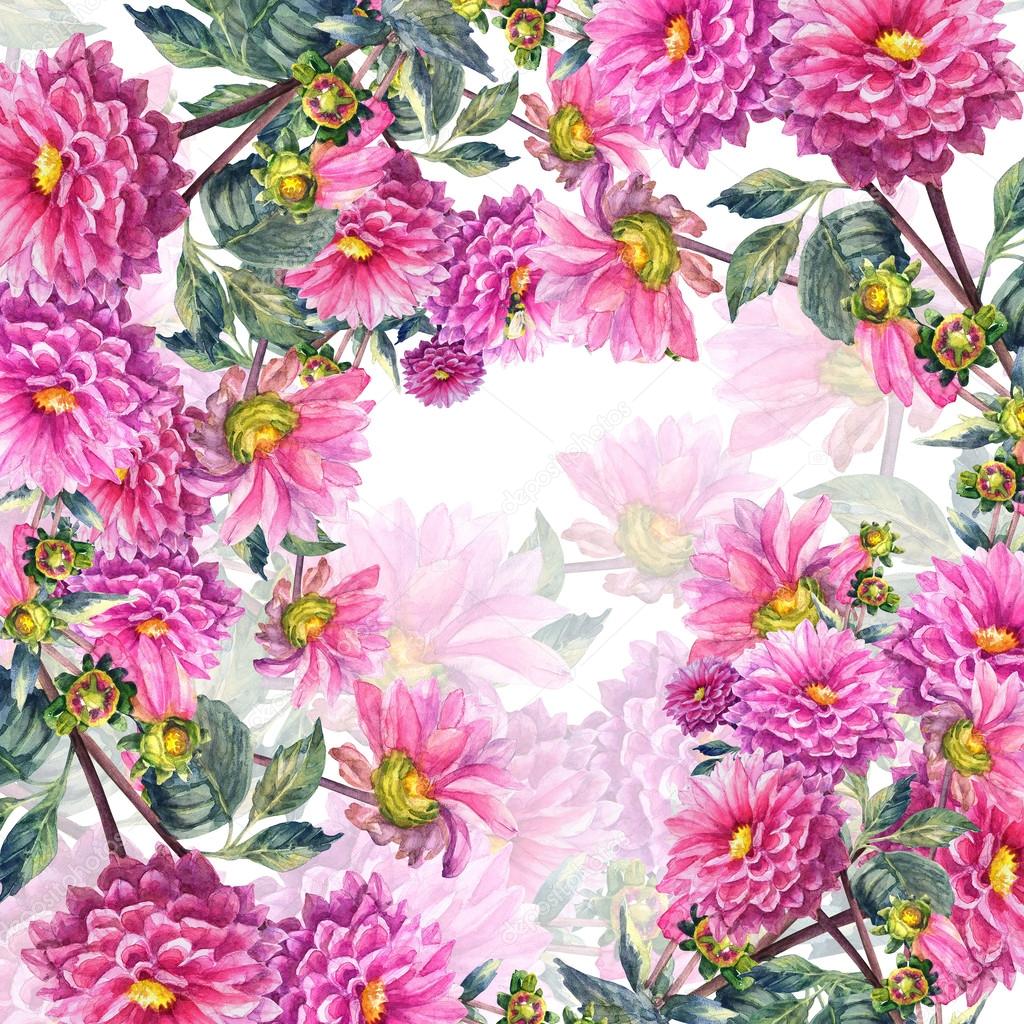 Beautiful Pink Dahlias Flowers