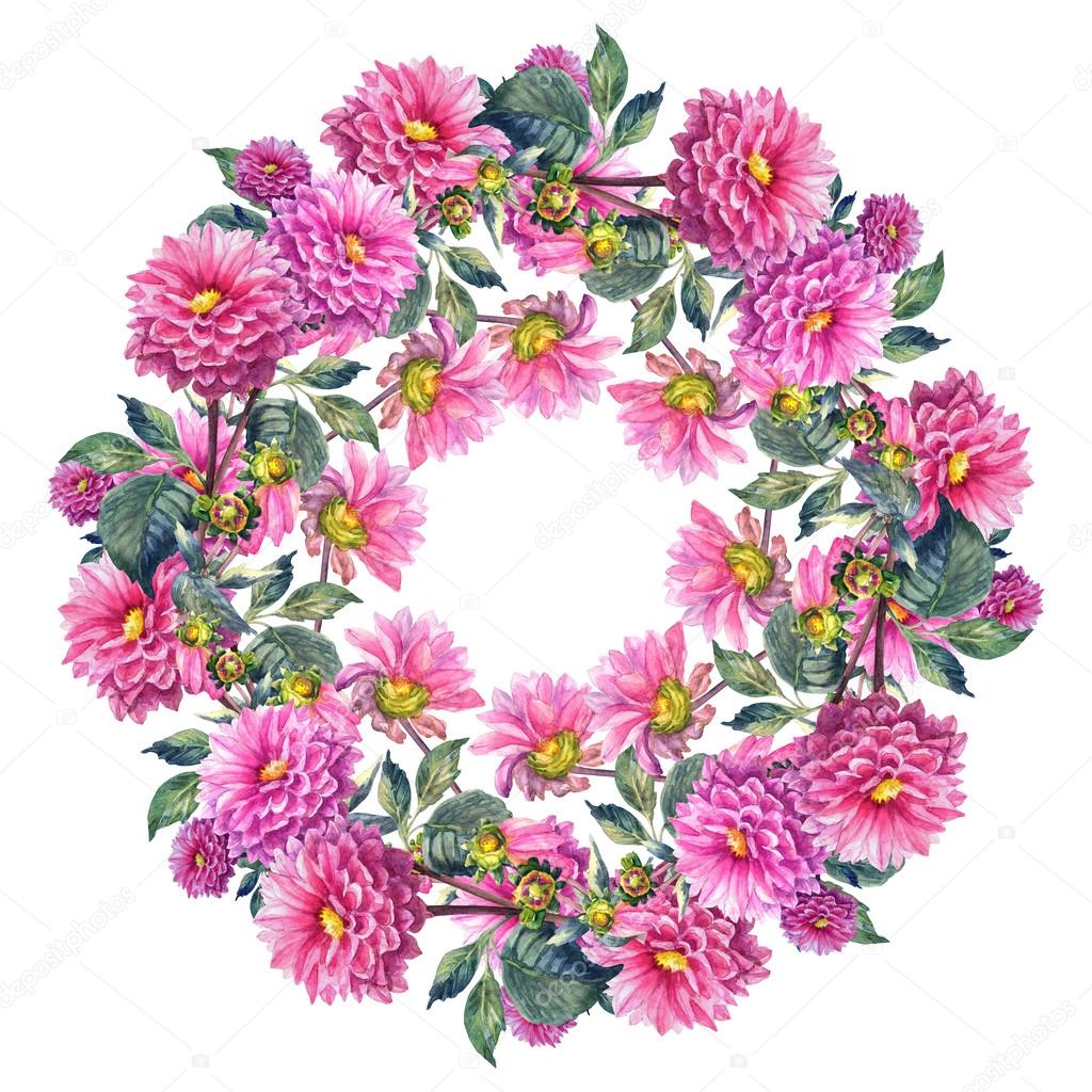 Beautiful Pink Dahlias Flowers