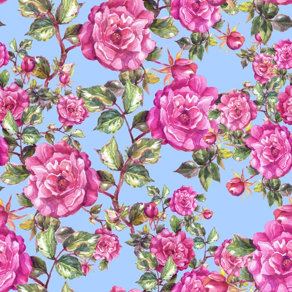 Floral roses pattern — Stock Photo, Image