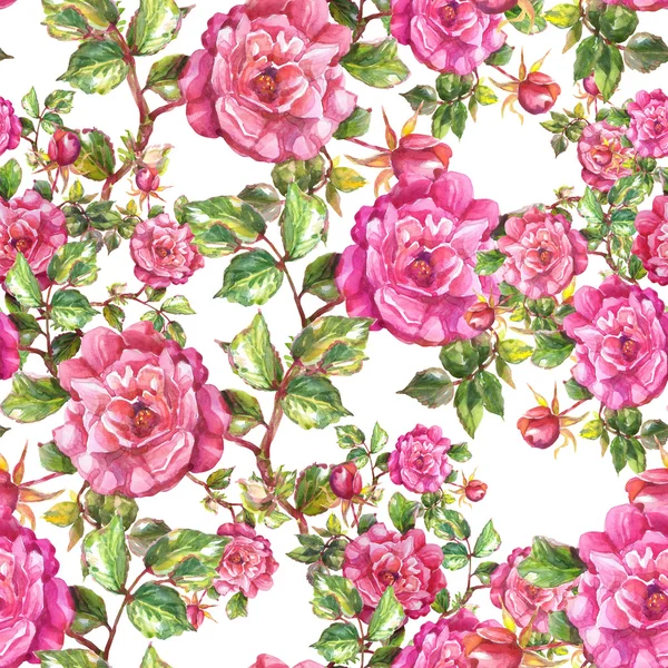 Floral rozen patroon Stockfoto