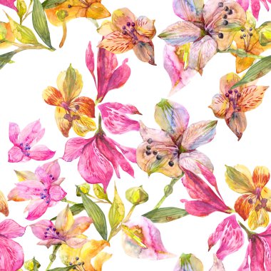 Sulu Boya Alstroemeria çiçek