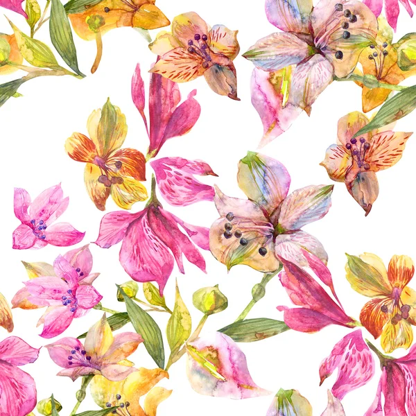 Sulu Boya Alstroemeria çiçek