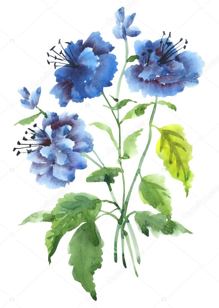Summer blue flowers