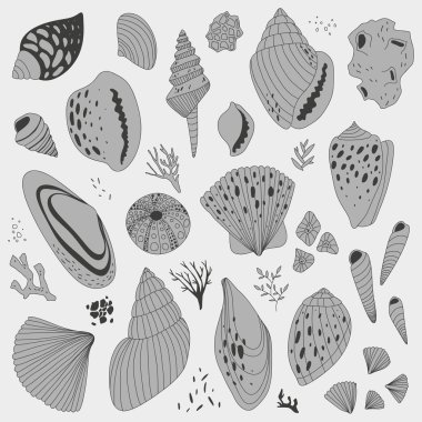 vektör el renkli kabukları ile çizilen illüstrasyon