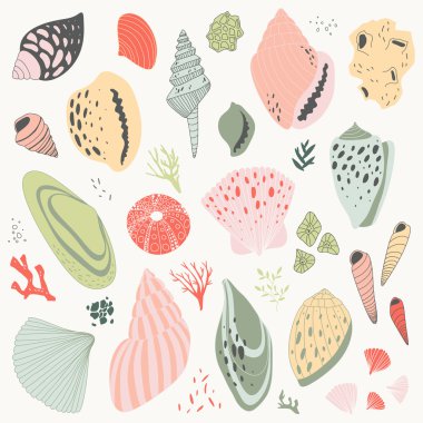 vektör el renkli kabukları ile çizilen illüstrasyon