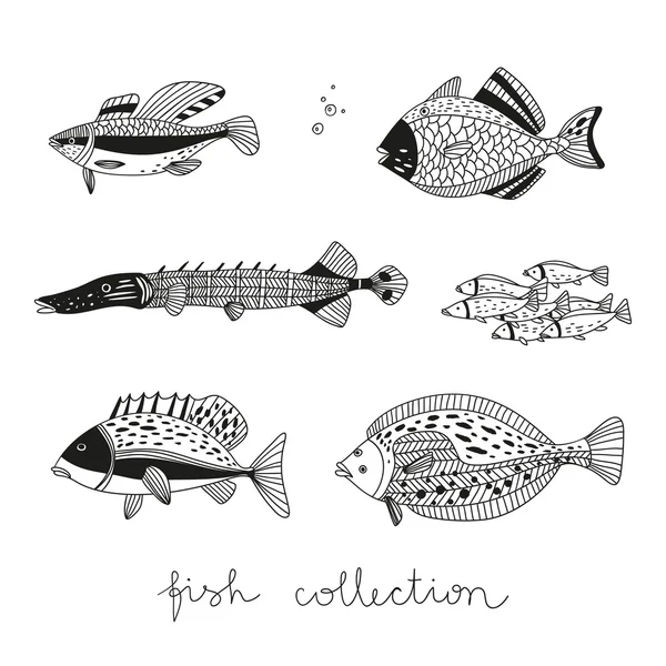 Wektor ładny zestaw z ręcznie rysowane ryb — Wektor stockowy