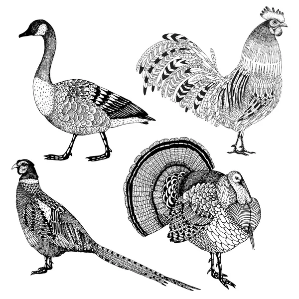 Conjunto vetorial desenhado à mão com quatro aves agrícolas abstratas Gráficos De Vetores