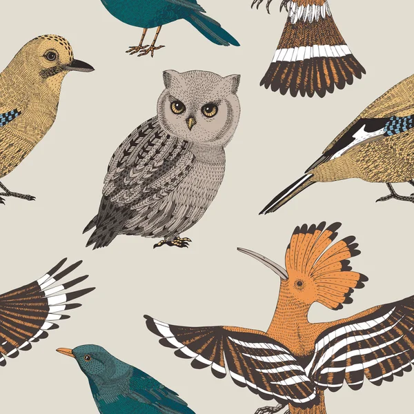 Vecteur dessin à la main motif sans couture avec des oiseaux sauvages — Image vectorielle