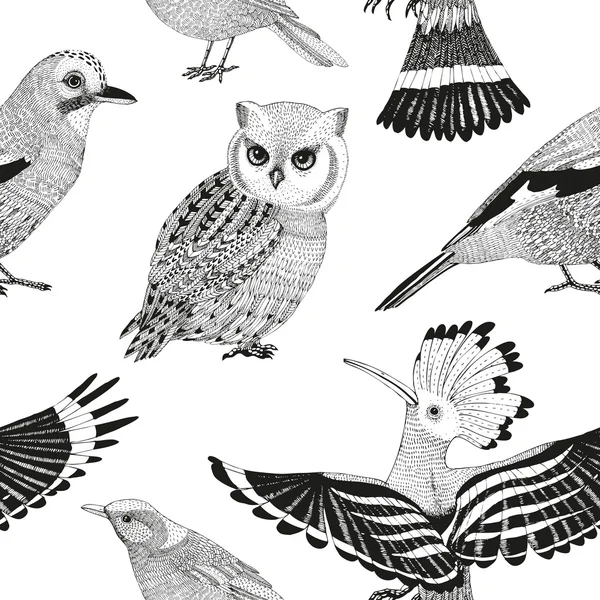 Vector hand drawn seamless pattern with wild birds — Stock Vector