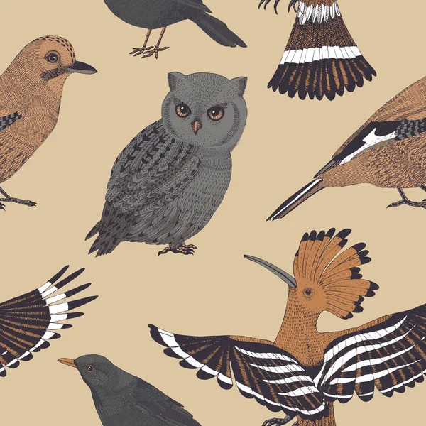 Vetor desenhado à mão sem costura padrão com aves selvagens — Vetor de Stock