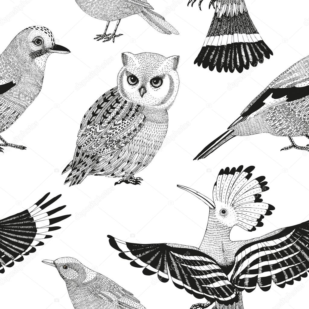 vector hand drawn seamless pattern with wild birds