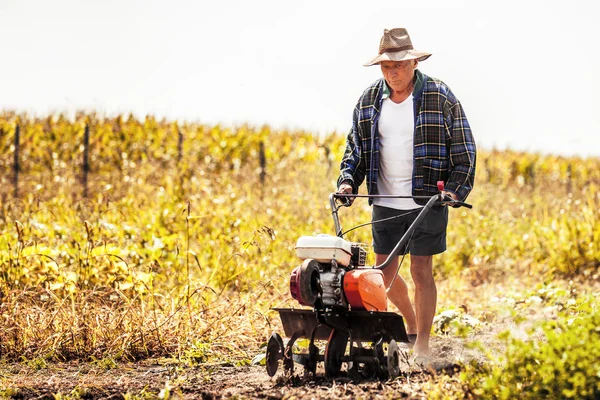 Trabalho na exploração agrícola — Fotografia de Stock