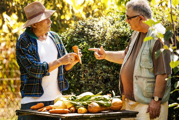 Senioren im Freien — Stockfoto