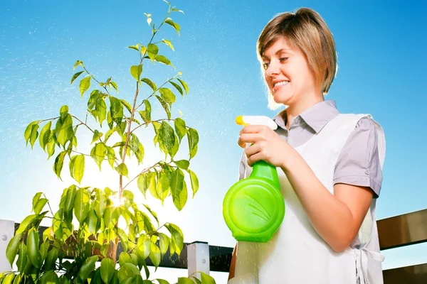 Gardening — Stock Photo, Image