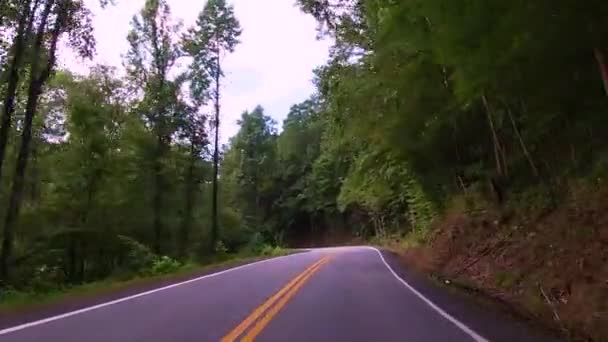 Pov Άποψη Της Οδήγησης Μέσα Από Τους Ορεινούς Δρόμους Της — Αρχείο Βίντεο