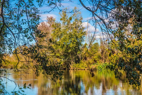 在一个阳光明媚的日子里 一条平静的河流穿过秋天的树叶 — 图库照片