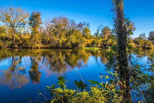 Augusta Bir Nehir Sonbahar Yeşillikleri Görünüyor — Stok fotoğraf