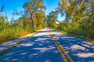 Sonbaharda açık bir günde kırsalda uzun ve boş bir yol.