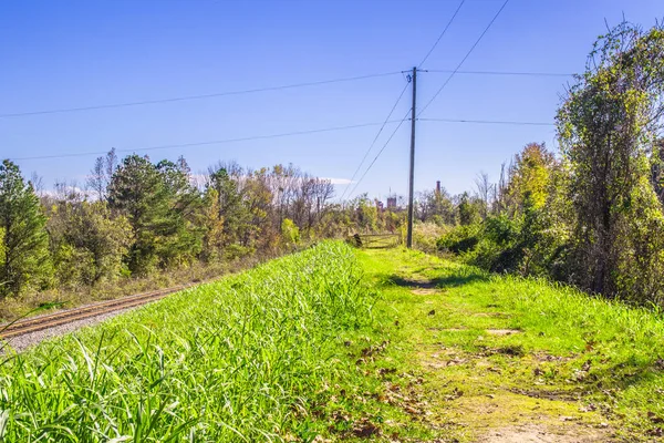View of a trail and a train track with green foliage and clear blue sky