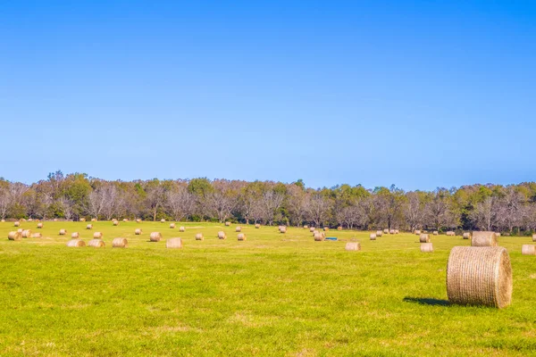 Сельская Ферма Тюками Сена Южной Грузии Голубым Небом — стоковое фото