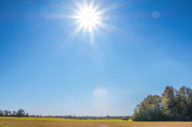 Güney Georgia 'da sonbaharda tarım arazileri, ağaçlar ve güneş ışınları görünüyor.