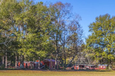 Burke County, Ga / USA - Gürcistan 'da 11.23.20 Kızıl Ahır