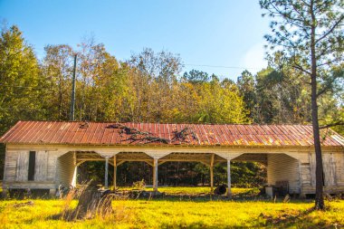 Georgia 'nın güneyinde terk edilmiş eski bir bina. Paslı, teneke çatı manzaralı.