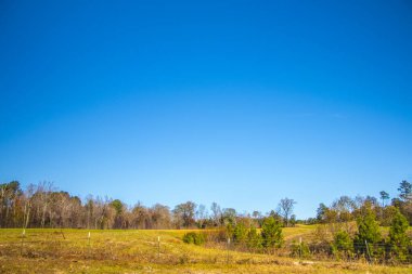 Güney Georgia kırsalında tarım arazisi mavi gökyüzü çiti ve sonbahar renkleri