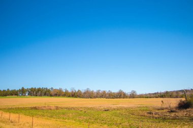 Kırsal arazi arka planında mavi gökyüzü ve sonbaharda bir çit var.