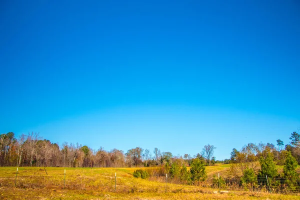 Farm Mark Landsbygden Söder Georgien Blå Himmel Staket Och Fall — Stockfoto