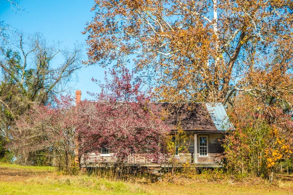 Uma Antiga Casa Abandonada Coberta Folhagem Outono Geórgia — Fotografia de Stock