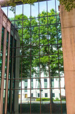 Atlanta Georgia şehir merkezindeki camlarda yeşil bir ağacın yansıması.