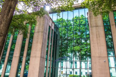 Atlanta Georgia şehir merkezindeki camlarda yeşil bir ağacın yansıması.