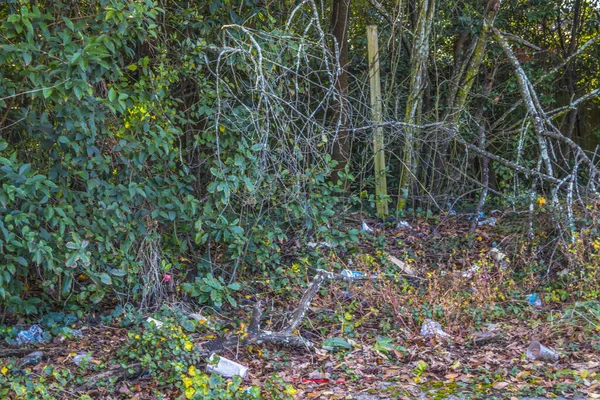 Déchets Sur Bord Route Dans Une Zone Rurale Géorgie Feuillage — Photo