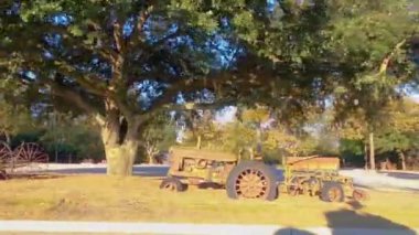 Augusta, Ga USA - 1202 20: Barb Q bahçe dekorasyonu ve dekoratif domuz tabelası