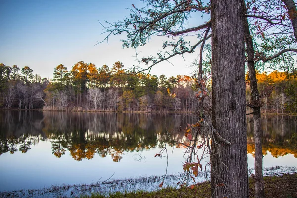 Spokojne Jezioro Drzewo Odbiciami Jesieni Gruzji — Zdjęcie stockowe