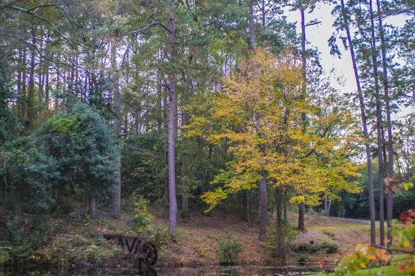 Όμορφα Χρώματα Φθινόπωρο Στη Γεωργία Μια Λίμνη Και Τροχό Νερού — Φωτογραφία Αρχείου
