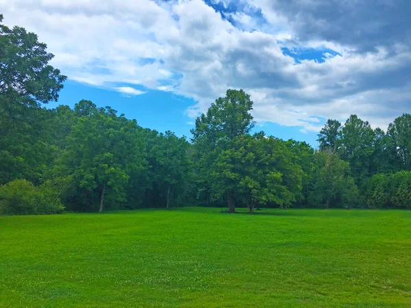 Helen Eua Grama Verde Árvores Com Céu Azul Nuvens Verão — Fotografia de Stock