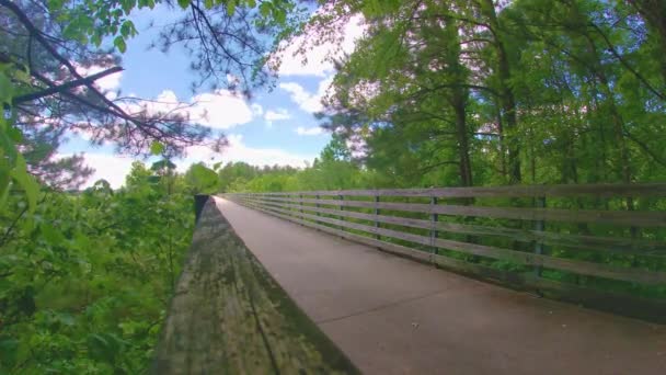 Paulding County Usa Time Lapse Beautiful Wooden Bridge Paved Nature — Stock Video