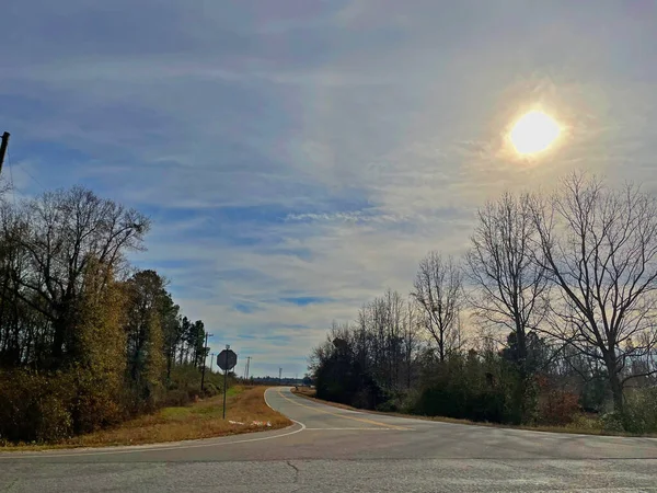 Burke County Usa Kurvig Väg Landet Landsbygden Georgien — Stockfoto