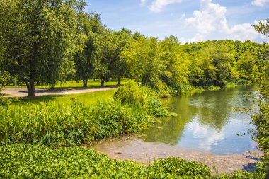 Augusta, Ga USA - 07 04: 20: Lock aqand Dam Gölü ve yeşil manzara ağaçları ve su