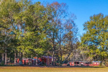 Burke County, Ga / USA - Gürcistan 'da 11.23.20 Kızıl Ahır