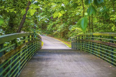 Paulding County, Ga USA 06: 11 20: Gümüş Kuyruklu yıldız Patikası manzarası kaldırımlı yürüyüş yolu sol görüşünde.