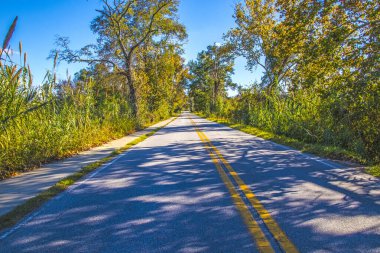 Sonbaharda açık bir günde kırsalda uzun ve boş bir yol.