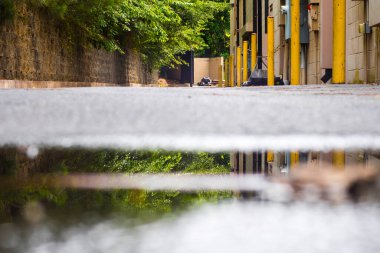 Gwinnett, Ga USA - 05: 31-20: Yansımalı bir su birikintisi