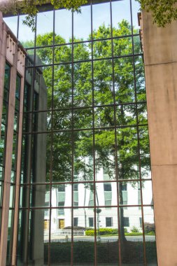 Atlanta Georgia şehir merkezindeki camlarda yeşil bir ağacın yansıması.