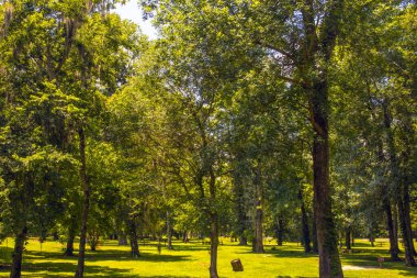 Augusta, Ga USA - 07 04: 20: Lock and Baram güzel yeşil yosun ağaçları ve bir piknik alanı ve çöp kutuları