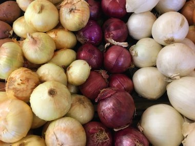 Tatlı Vidalia soğanları, kırmızı soğanlar ve beyaz soğanlar kapanıyor.