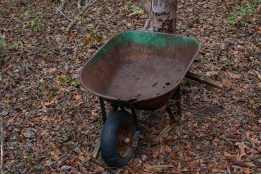 Augusta, Ga USA - 02: 14: 21: Gürcistan kırsalında paslı, yeşil, antika, eski model bir el arabası ve kış yaprakları.