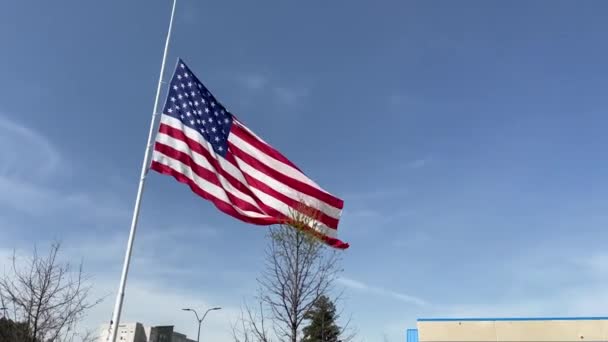 Augusta Usa Gander Sklepy Stacjonarne Duży Sklep Flagami Amerykańskimi Wejścia — Wideo stockowe